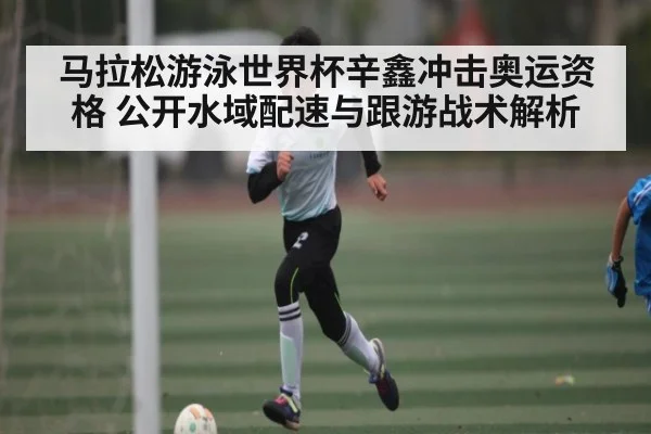 马拉松游泳世界杯辛鑫冲击奥运资格 公开水域配速与跟游战术解析